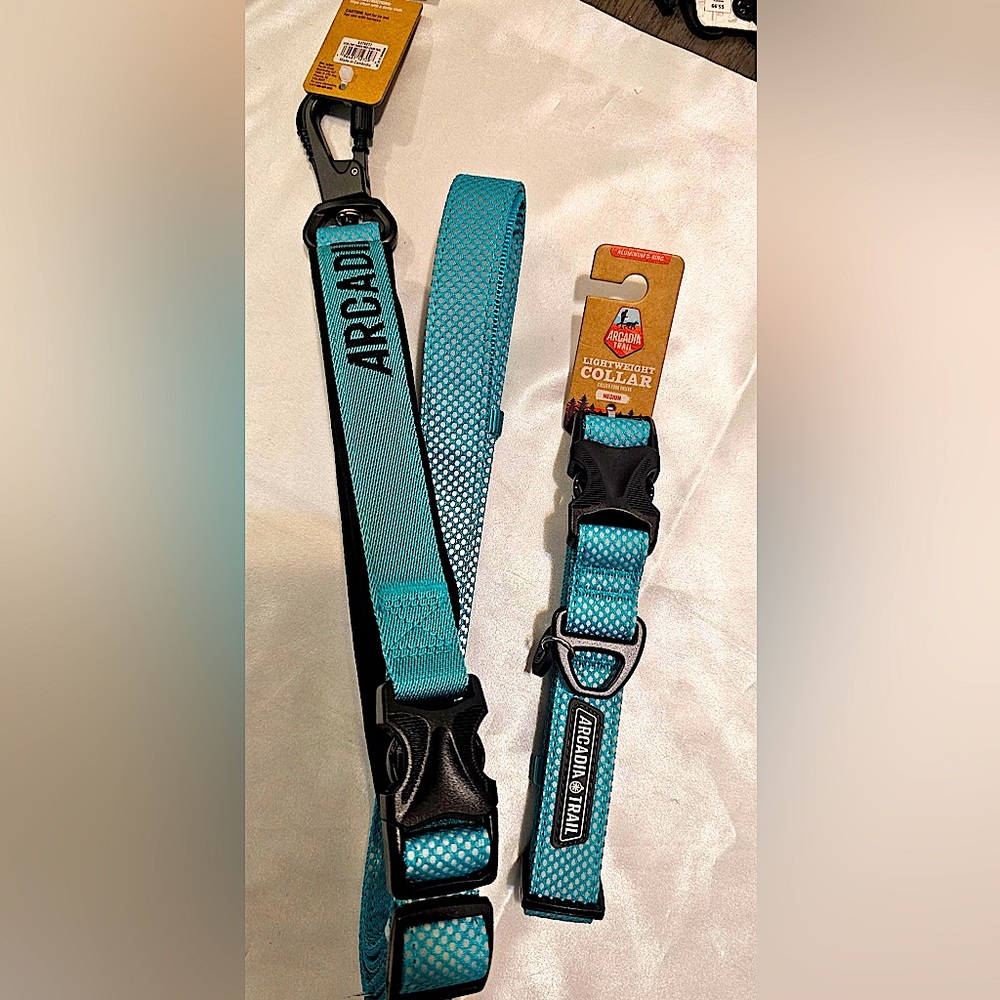 Arcadia Trail Lightweight Hands-Free Teal Dog Leash and Collar Set (M)